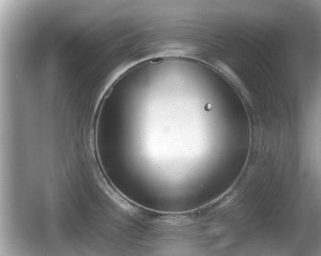 X0000062151340200512161224