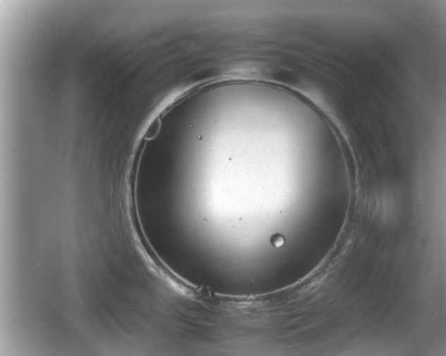 X0000062151341200512161224