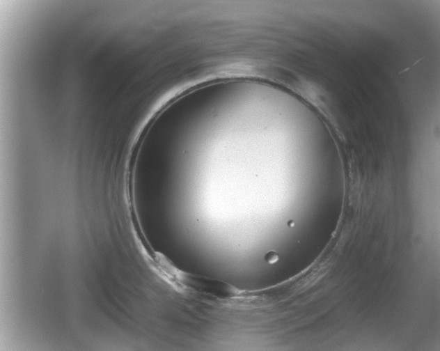 X0000062151342200512161224