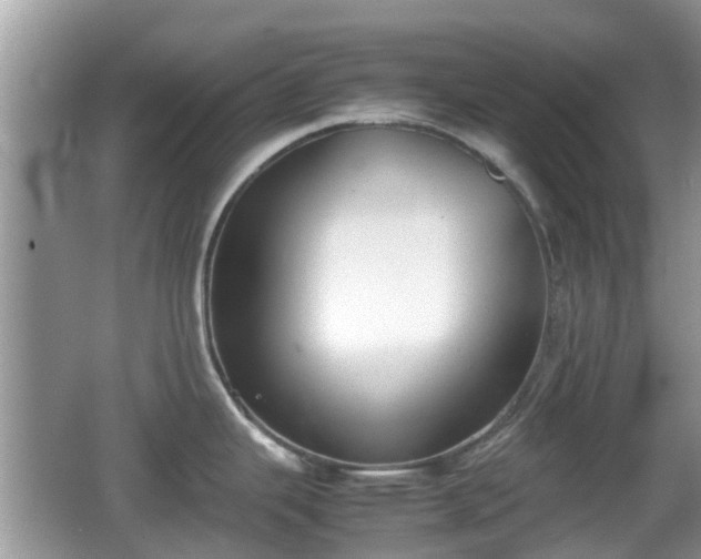 X0000062151343200512161224