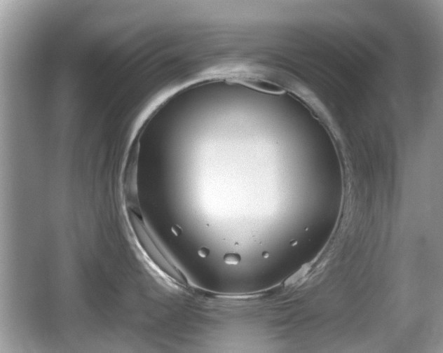 X0000062151344200512161224