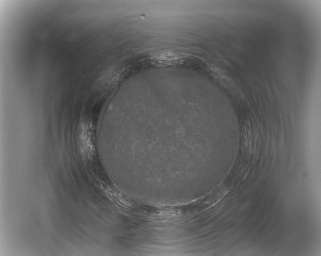 X0000062151346200512161223