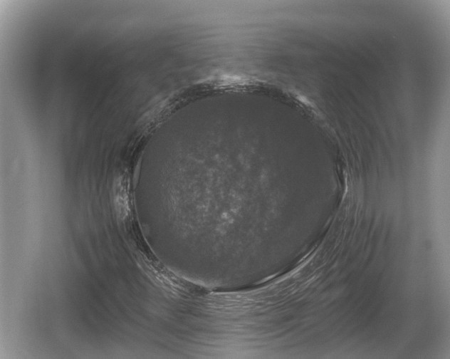 X0000062151348200512161223