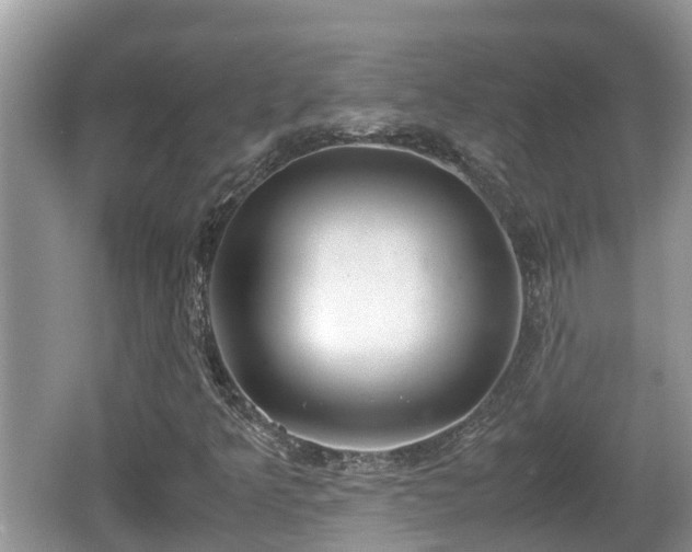 X0000062151349200512161223