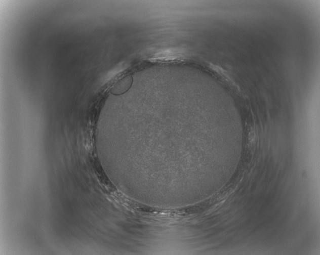 X0000062151350200512161223