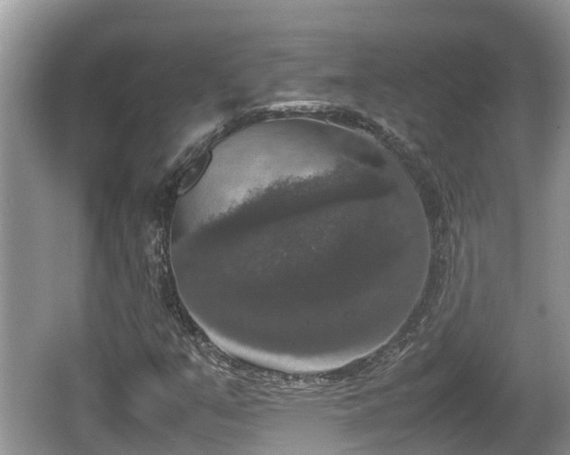 X0000062151351200512161223