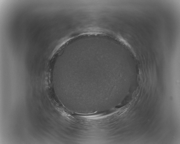 X0000062151352200512161223