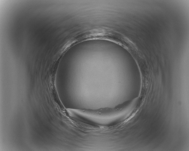 X0000062151353200512161223