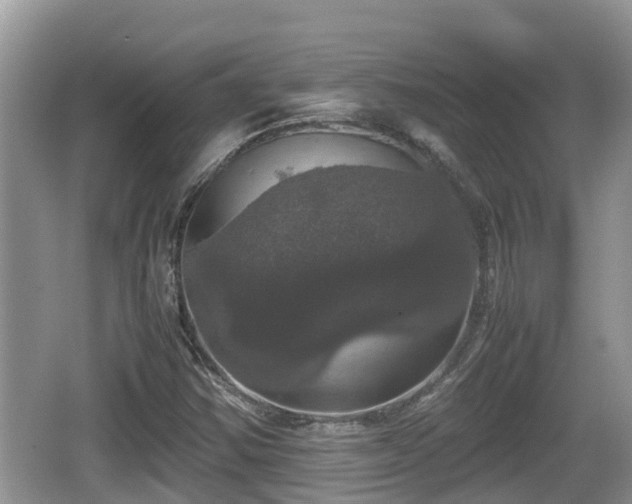 X0000062151354200512161223