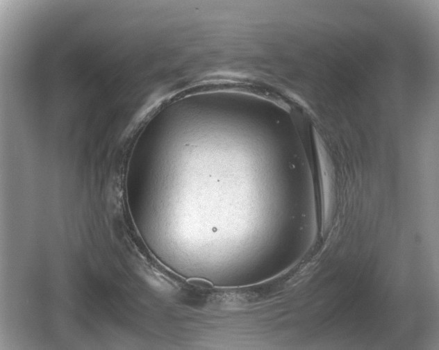 X0000062151355200512161223