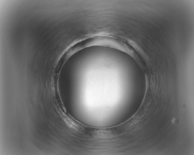 X0000062151356200512161223