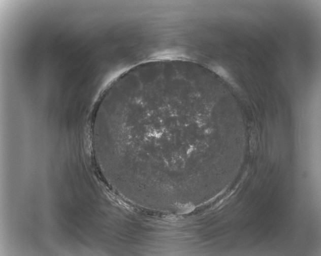 X0000062151358200512161223