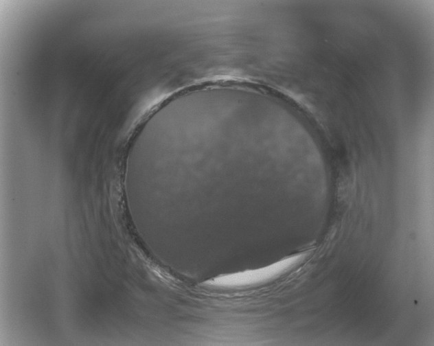 X0000062151359200512161223