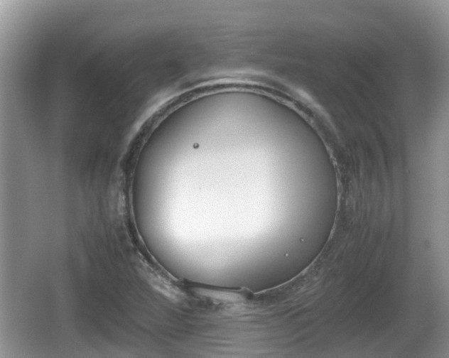 X0000062151360200512161223