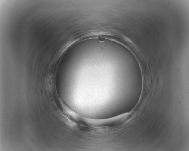 X0000062151361200512161223