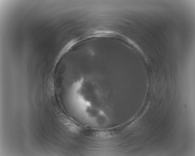 X0000062151362200512161223