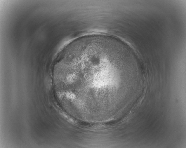 X0000062151363200512161223