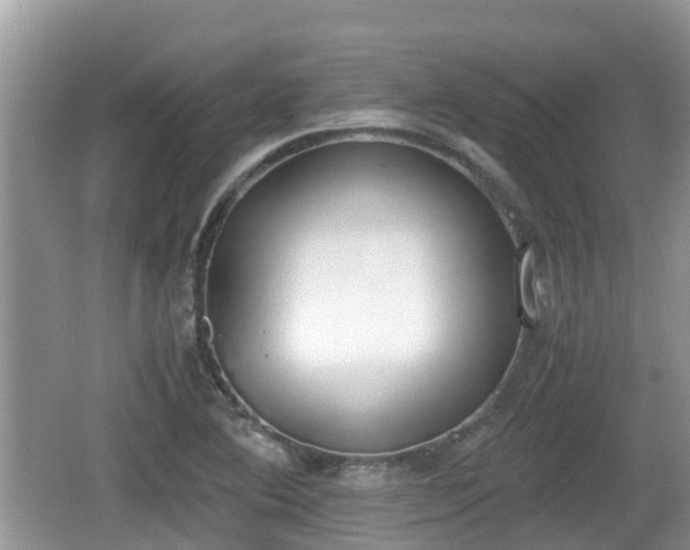 X0000062151364200512161223