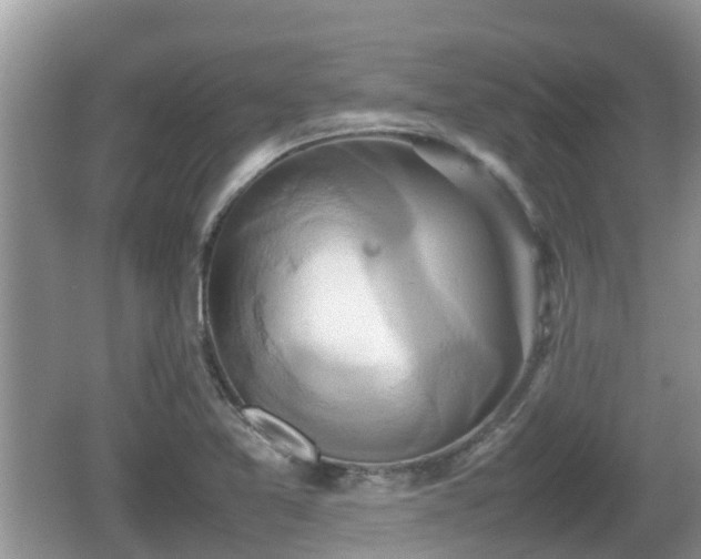 X0000062151365200512161223