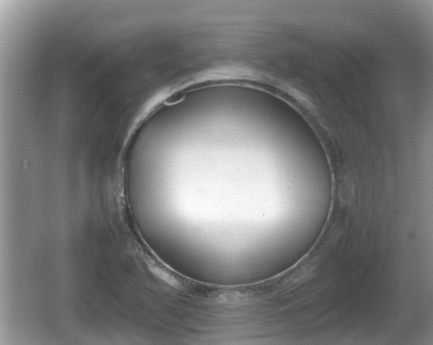 X0000062151366200512161223