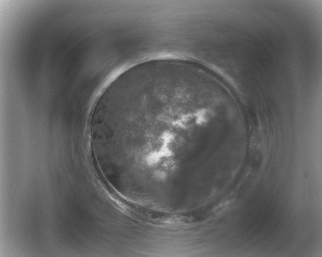 X0000062151367200512161223