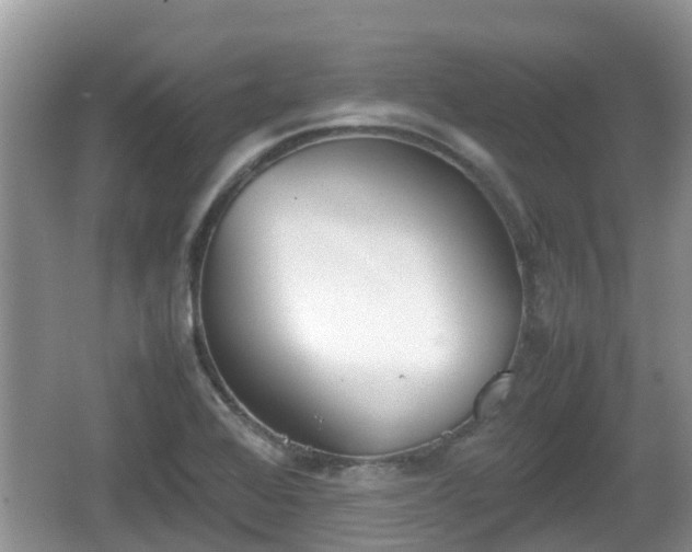 X0000062151368200512161223