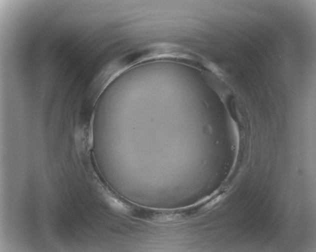 X0000062151369200512161223