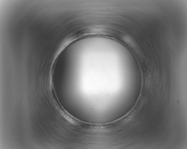 X0000062151370200512161223