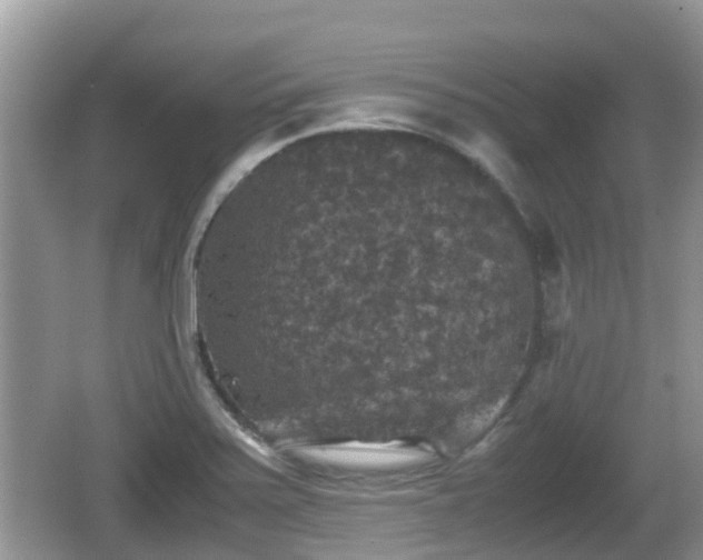 X0000062151371200512161223