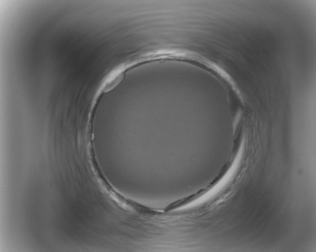 X0000062151373200512161223