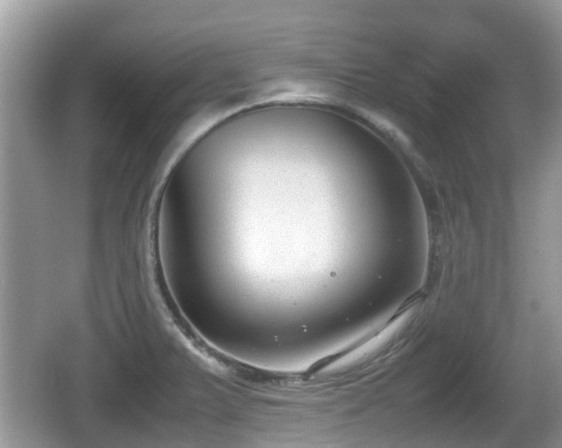 X0000062151375200512161223