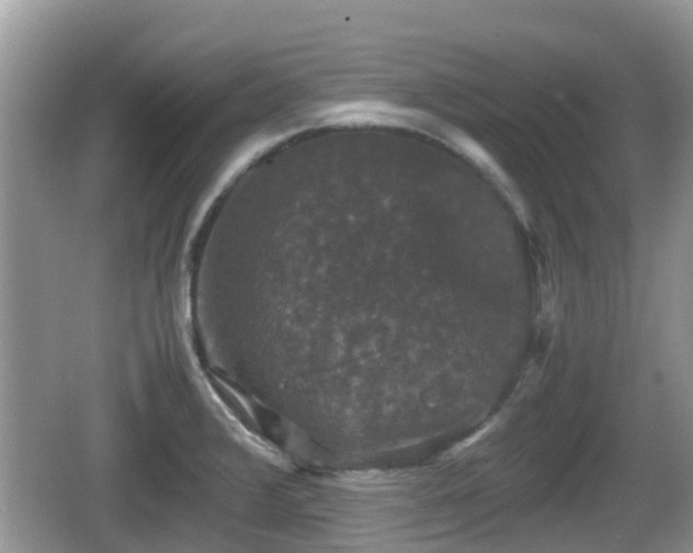 X0000062151376200512161223