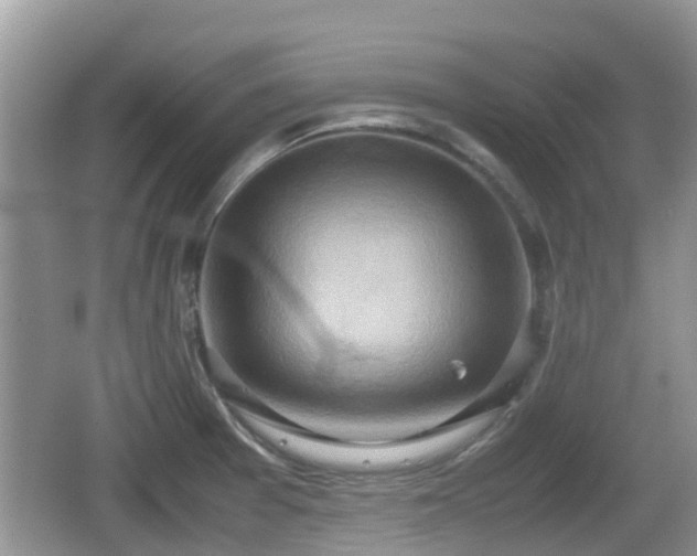 X0000062151377200512161223