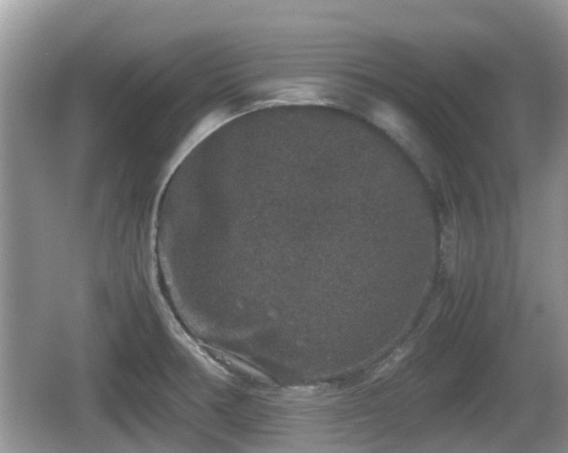 X0000062151378200512161223