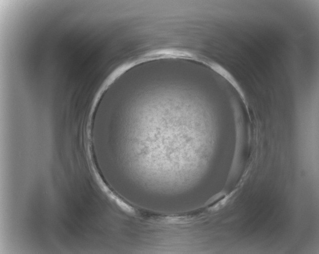 X0000062151381200512161223