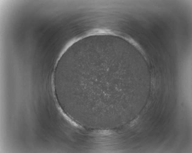 X0000062151382200512161223