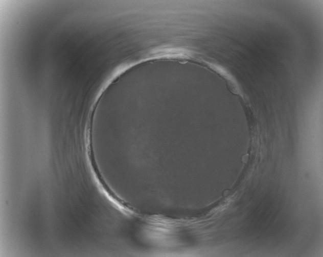 X0000062151383200512161223