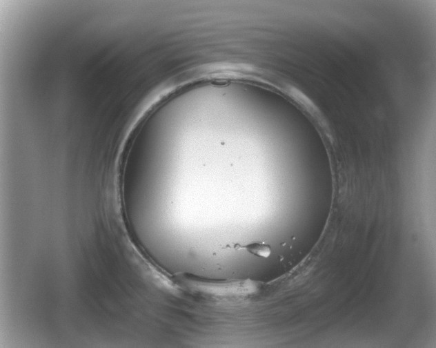 X0000062151384200512161223