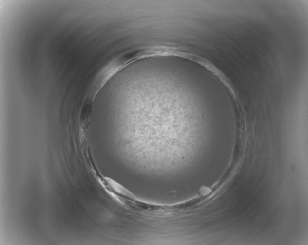 X0000062151385200512161222