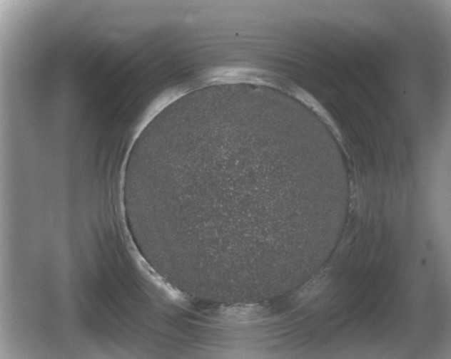 X0000062151386200512161222