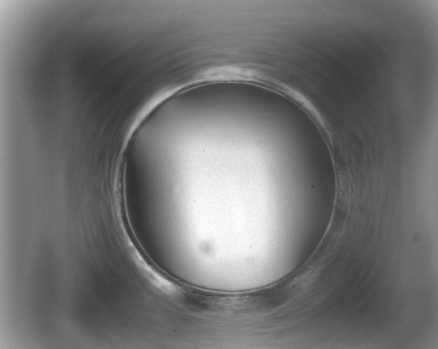 X0000062151387200512161222