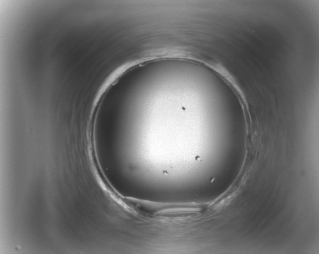 X0000062151389200512161222