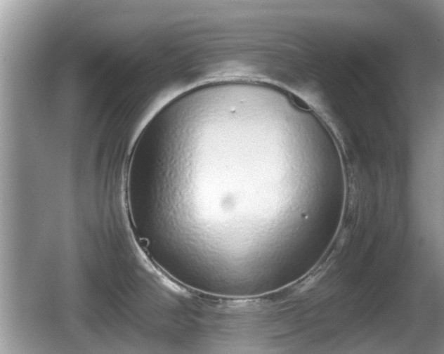 X0000062151390200512161222