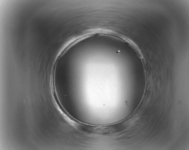 X0000062151391200512161222