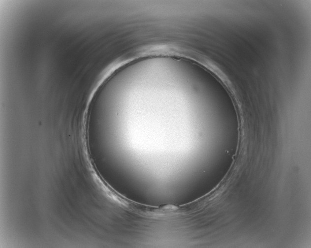 X0000062151392200512161222