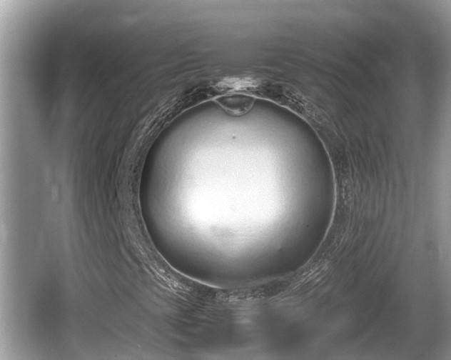 X0000062151393200512161222