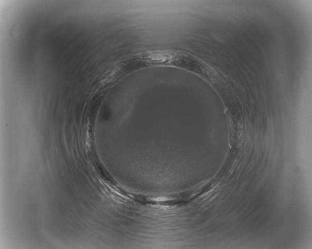 X0000062151394200512161222