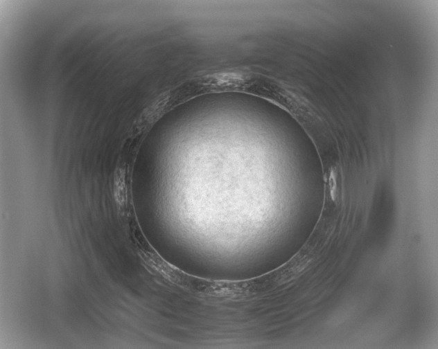 X0000062151395200512161222