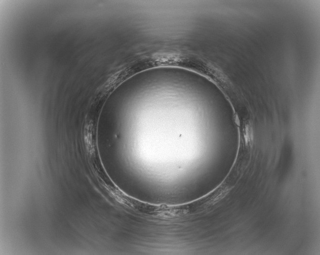 X0000062151396200512161222