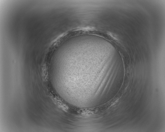 X0000062151398200512161222